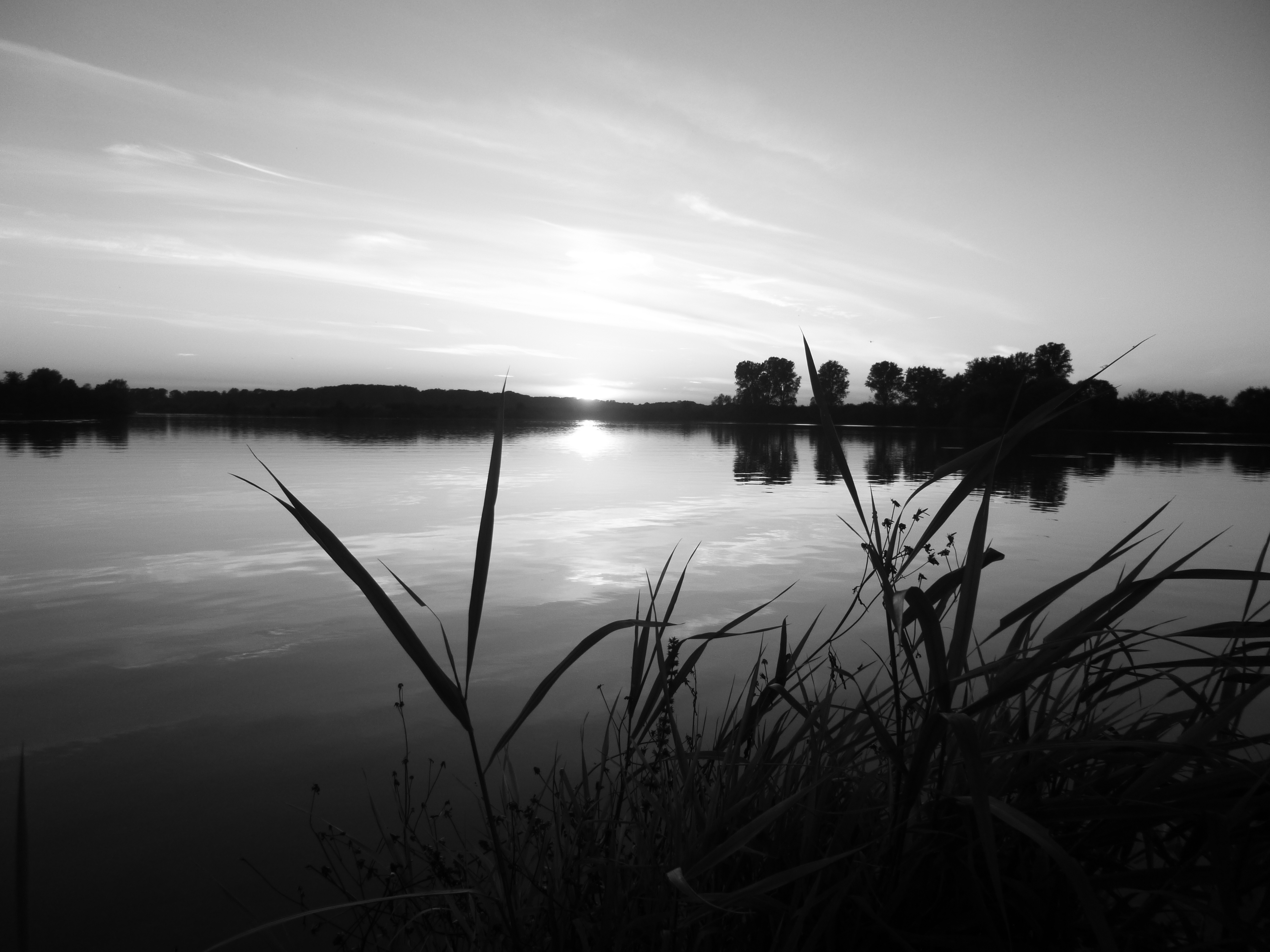 One place for inspiration !